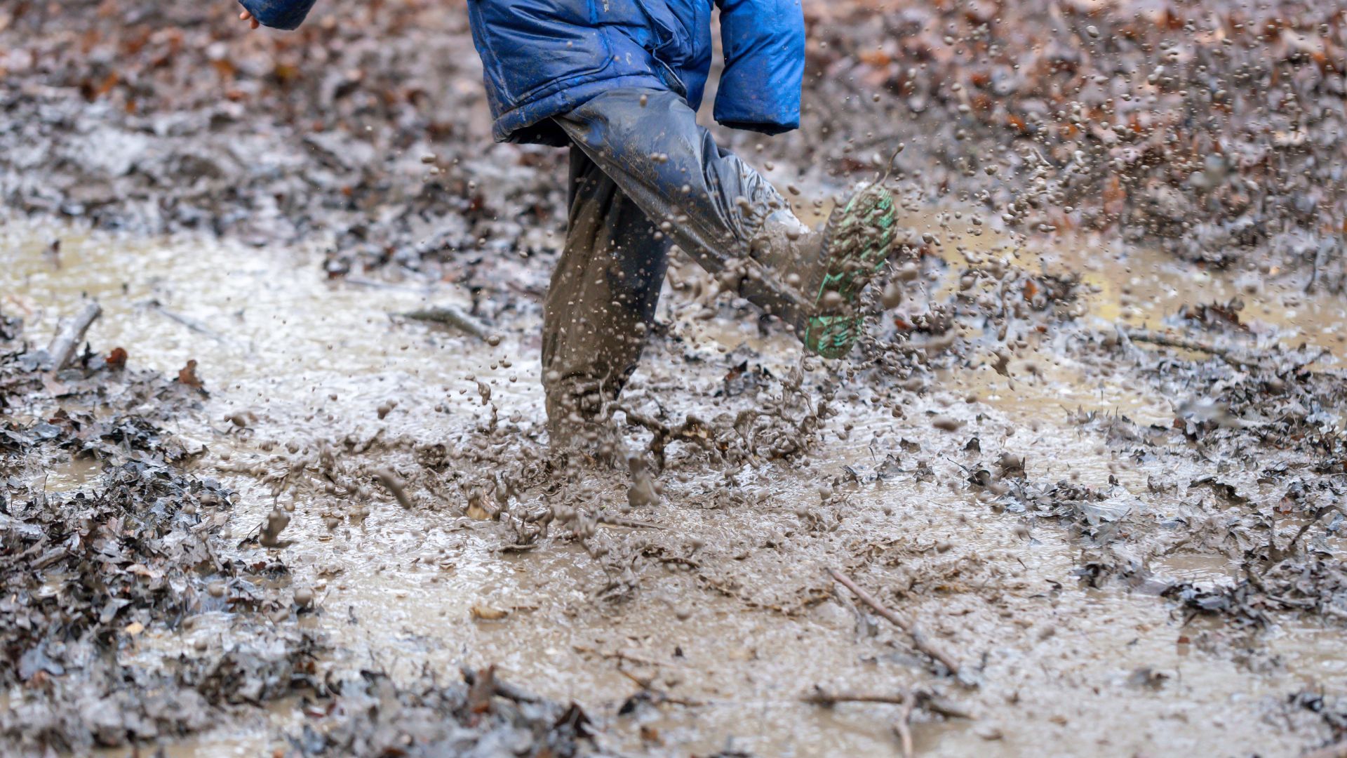 Sốt đất là bệnh nhiễm trùng do vi khuẩn Burkholderia pseudomallei xâm nhập vào cơ thể