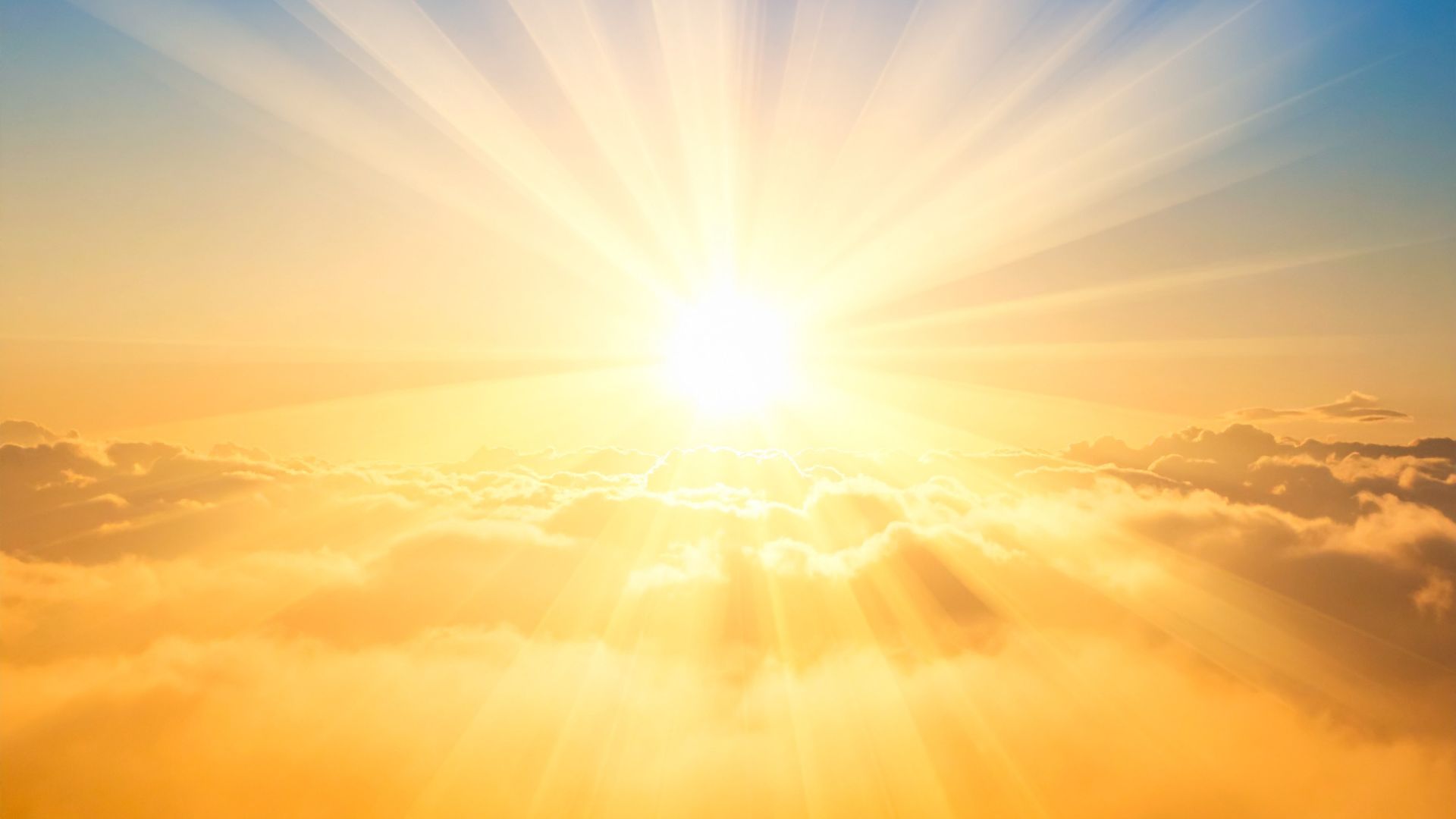 Người lớn bị sốt phát ban cần tránh tiếp xúc trực tiếp với ánh nắng mặt trời