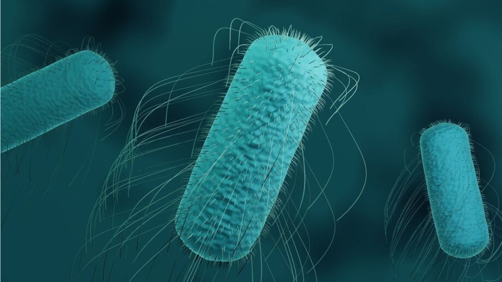 sot-thuong-han-co-lay-khong-benh-lay-qua-duong-nao 3.png