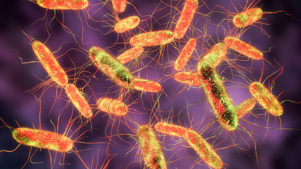 sot-thuong-han-co-lay-khong-benh-lay-qua-duong-nao 4.png