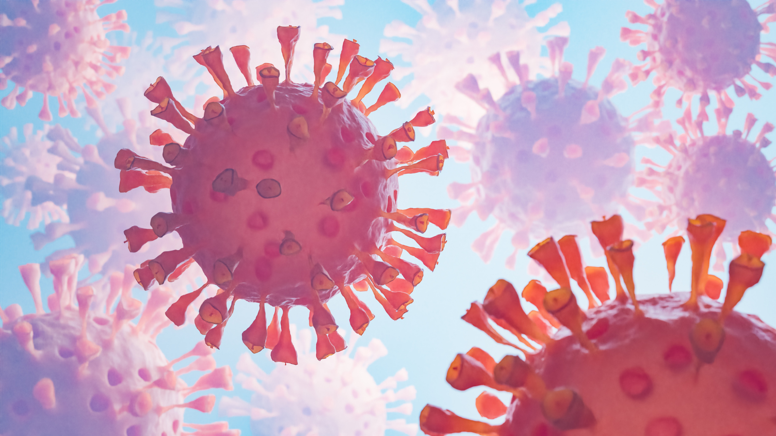 Sự tấn công của các chủng virus