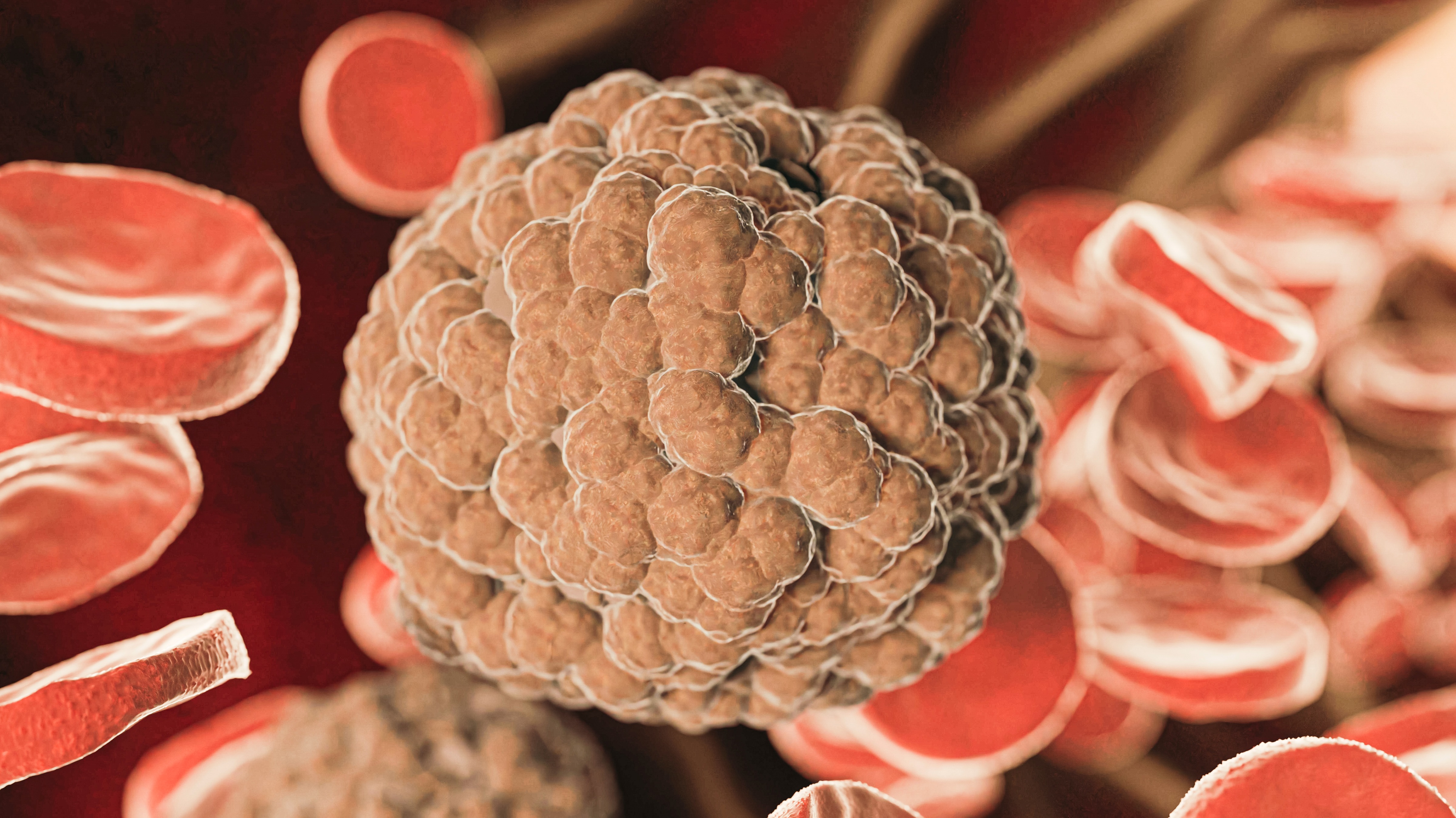 sot-xuat-huyet-giam-bach-cau-nguyen-nhan-va-cach-dieu-tri