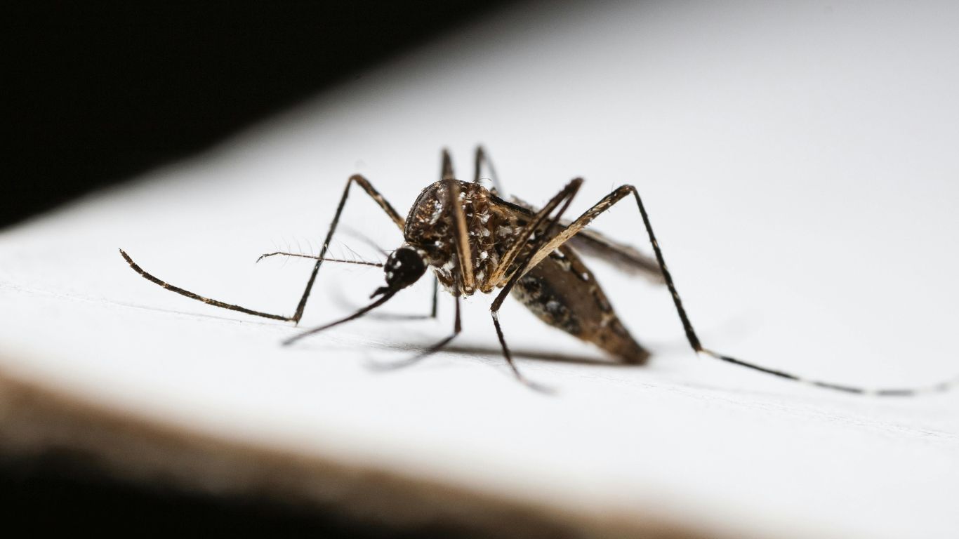 sot-xuat-huyet-ngay-thu-5-co-nghiem-trong-khong 2