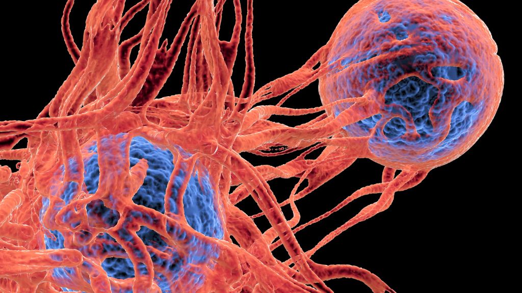 Hai loại ung thư đều xảy ra ở vùng cuối của ống tiêu hóa, nhưng triệu chứng lại có điểm giống và khác nhau