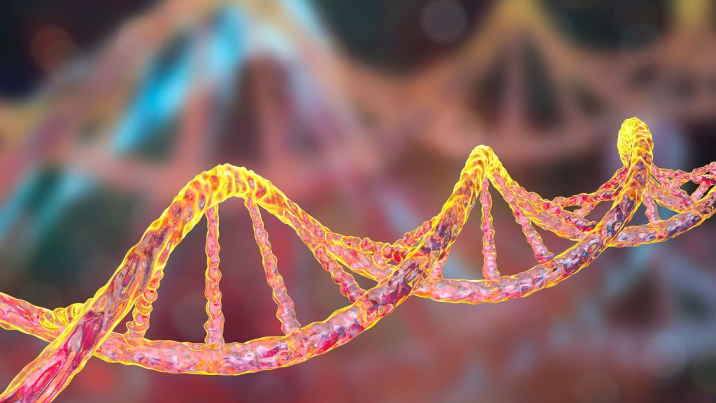 Tiền sử gia đình có người mắc ung thư đại tràng hoặc trực tràng là một trong những yếu tố nguy cơ phổ biến