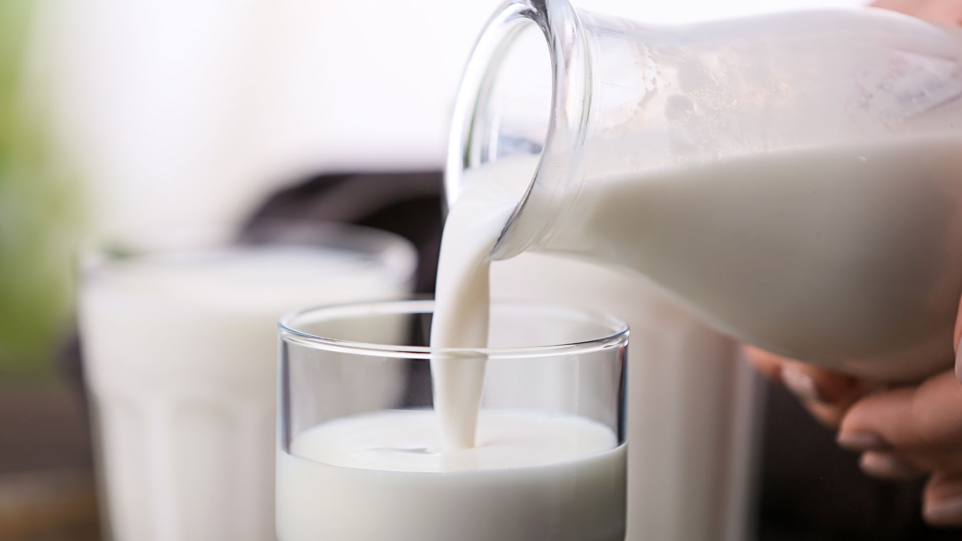 Sữa thanh trùng chứa nhiều vitamin và khoáng chất thiết yếu cho cơ thể giúp hỗ trợ quá trình tiêu hóa