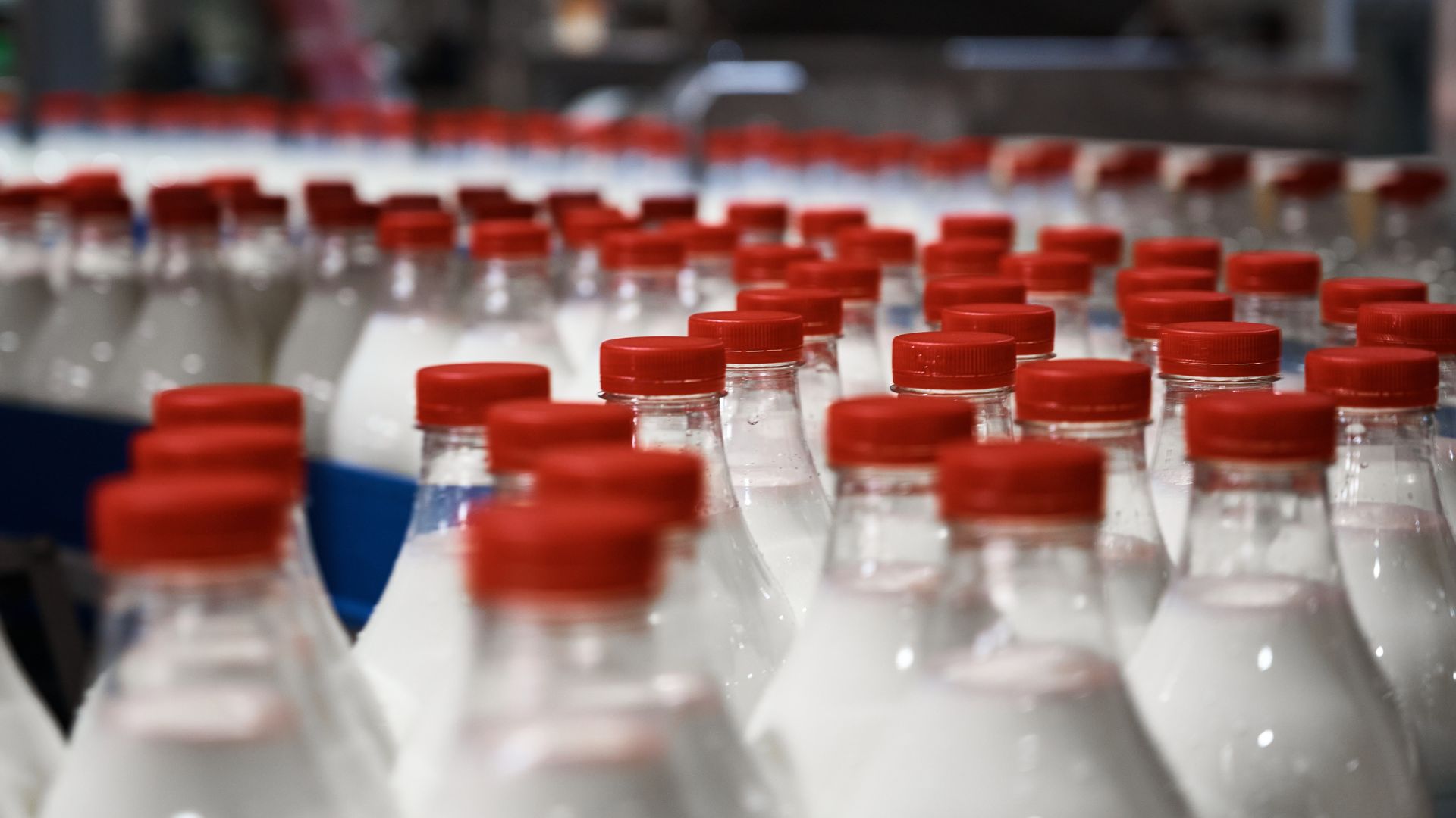 Nên chọn mua sữa thanh trùng của các thương hiệu uy tín để đảm bảo chất lượng và sức khỏe của chính bản thân mình