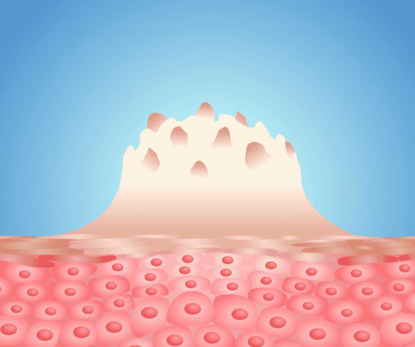 sui-mao-ga-duong-vat-va-nhung-thong-tin-can-biet-3