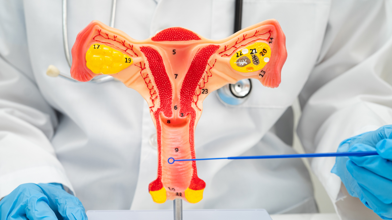 Bệnh sùi mào gà ở bẹn và háng do virus Human Papillomavirus (HPV) gây ra