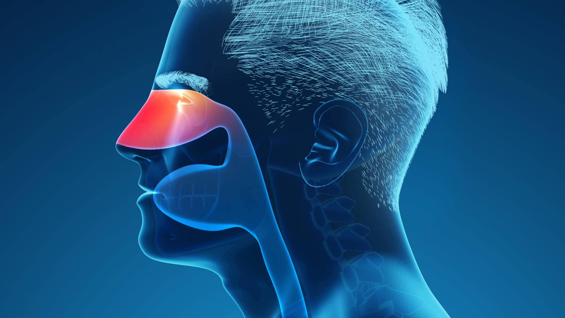 Tuyệt đối không chủ quan với các biến chứng sung huyết mũi