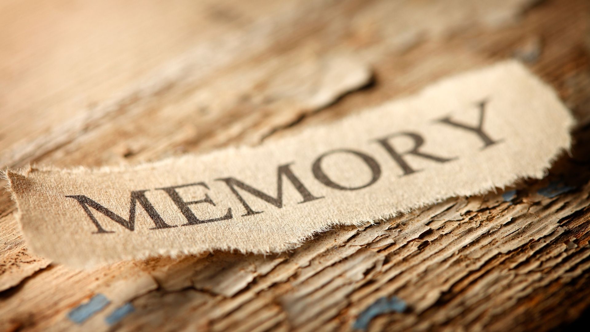 Suy giảm trí nhớ ngắn hạn là gì