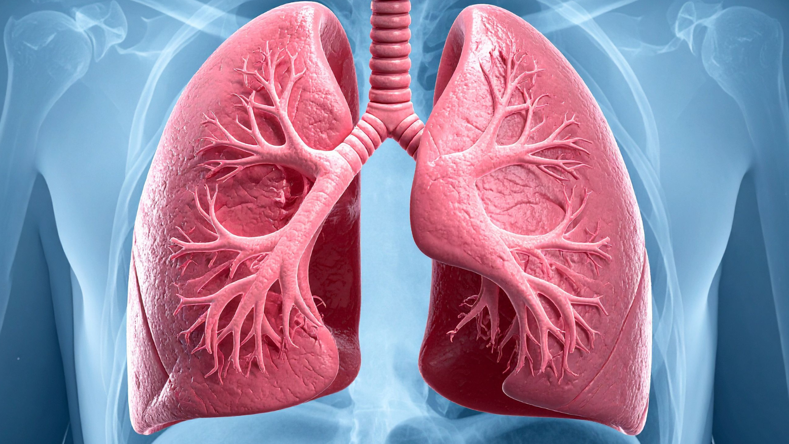 Suy hô hấp mạn tính là bệnh gì?