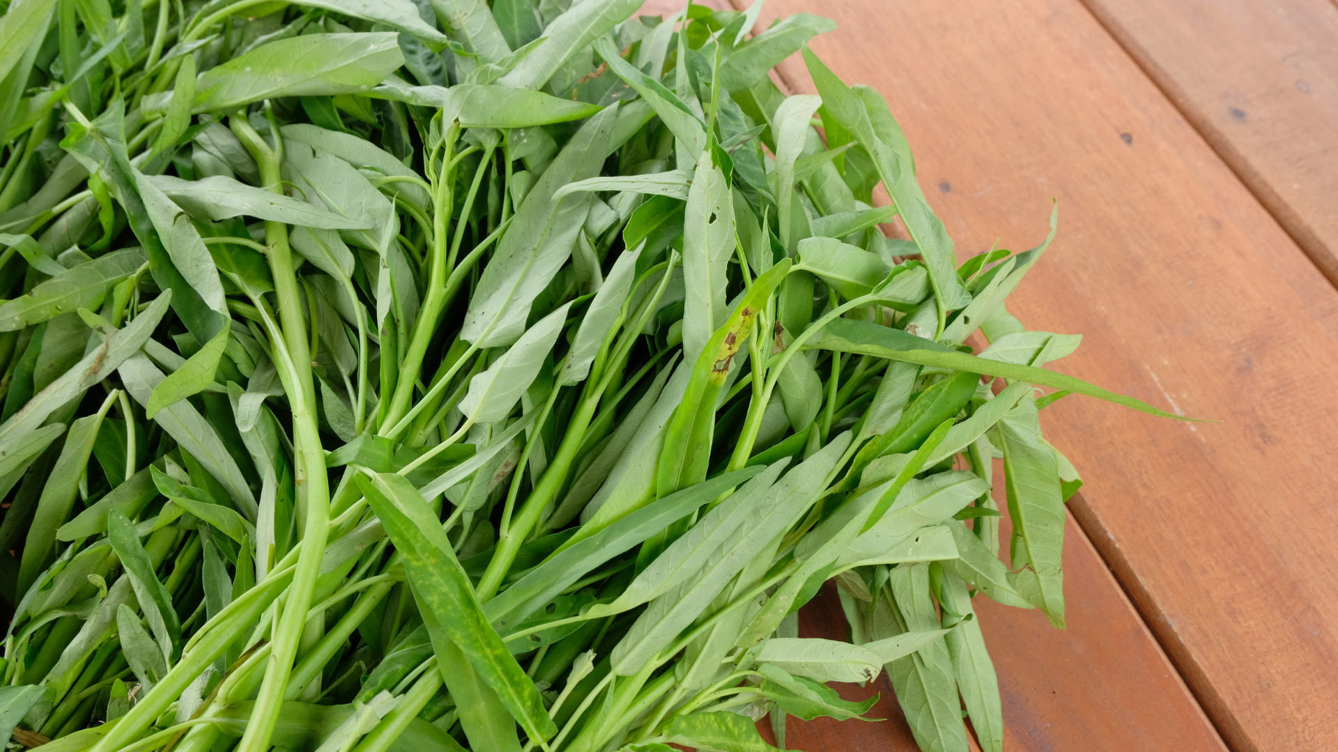 Dù rau muống là thực phẩm quen thuộc, người suy thận vẫn nên ăn lượng vừa phải