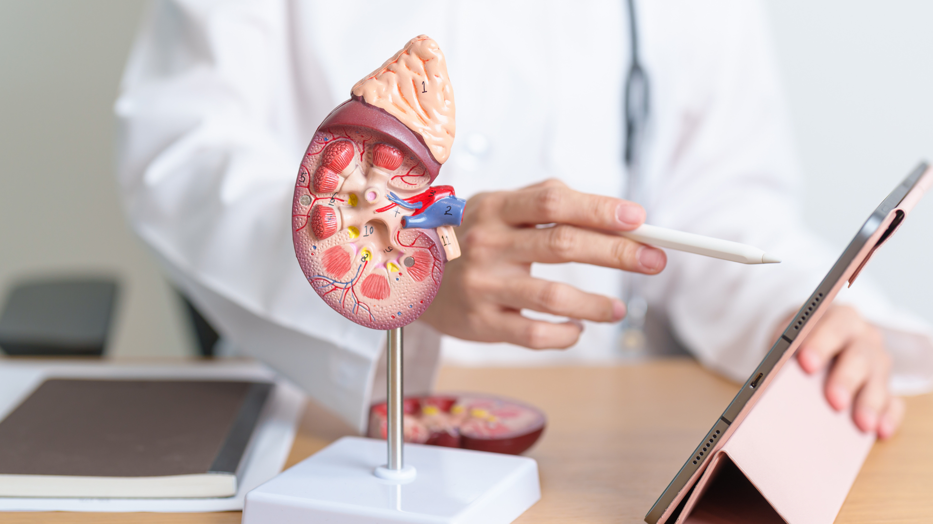 Phương pháp điều trị là yếu tố có ảnh hưởng lớn nhất đến tiên lượng sống của người suy thận mạn giai đoạn cuối