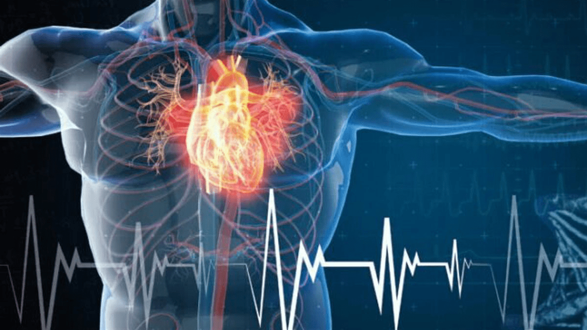 Siêu âm tim giúp bác sĩ đánh giá phân suất tống máu (EF) của bệnh nhân