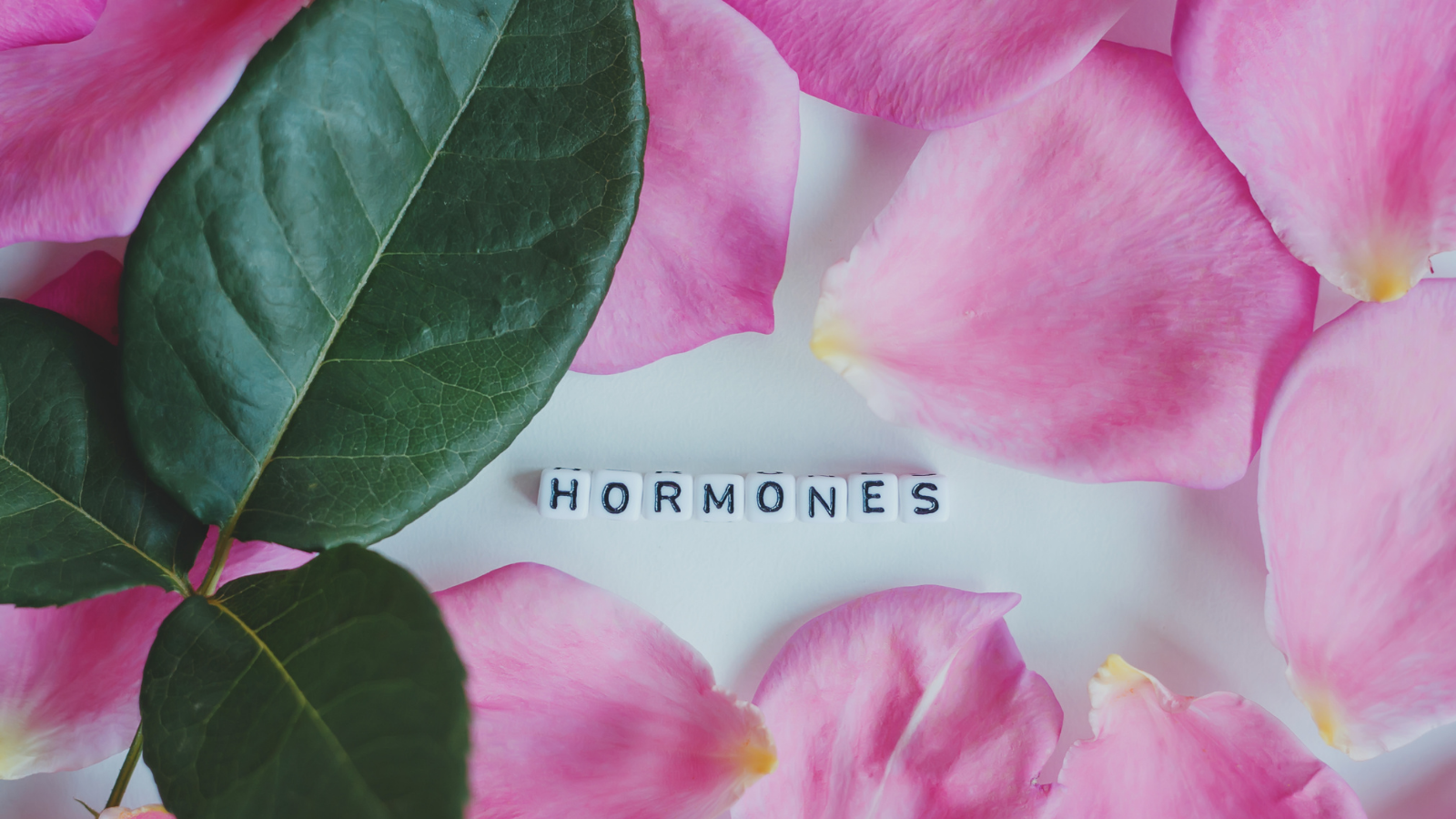 Sữa ong chúa có thể hỗ trợ cân bằng nội tiết ở phụ nữ trong một số giai đoạn