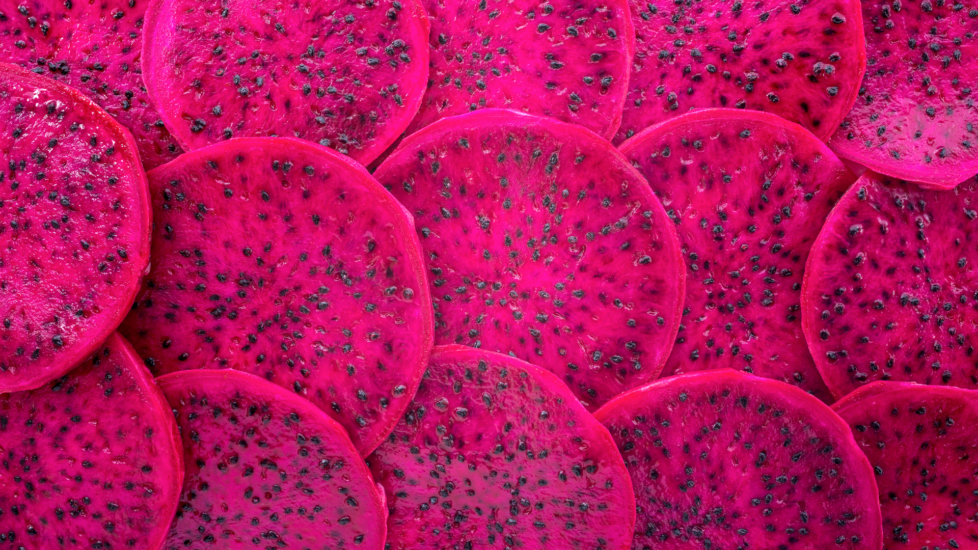 So với nhiều loại trái cây nhiệt đới khác, thanh long đỏ có hàm lượng đường tự nhiên tương đối thấp hơn trong khi lại giàu chất xơ