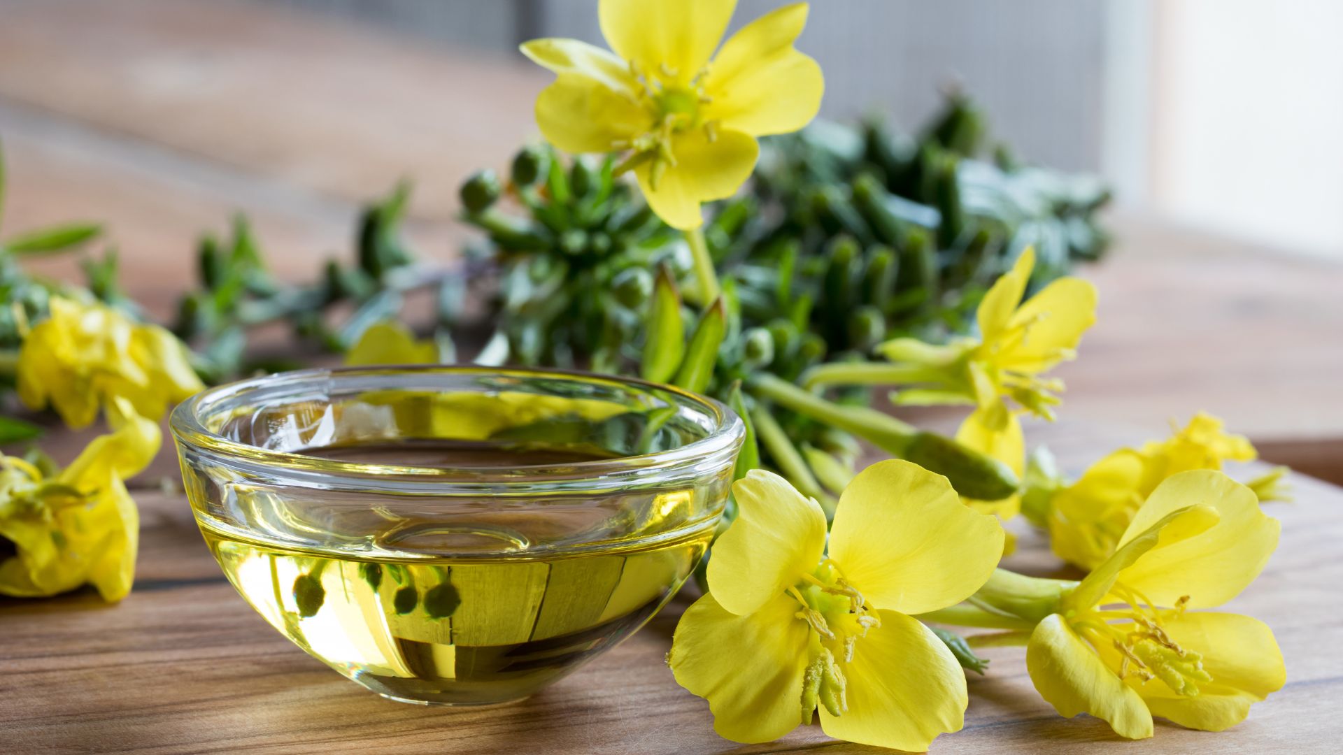 Tinh dầu hoa anh thảo là dầu chiết xuất từ hạt cây hoa anh thảo