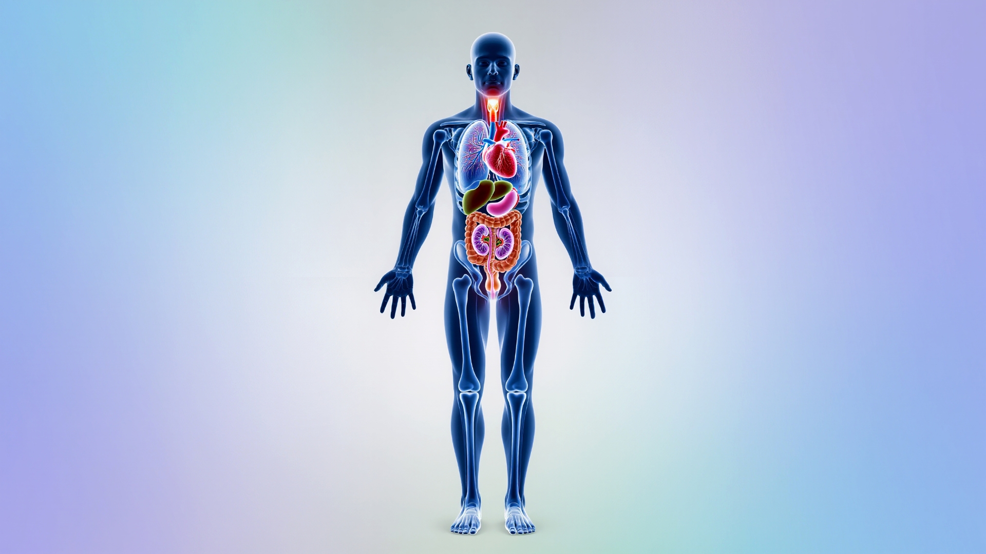 Tác dụng của tỏi đen đối với cơ thể được nhiều người quan tâm bởi nó có khả năng hỗ trợ lên nhiều hệ cơ quan