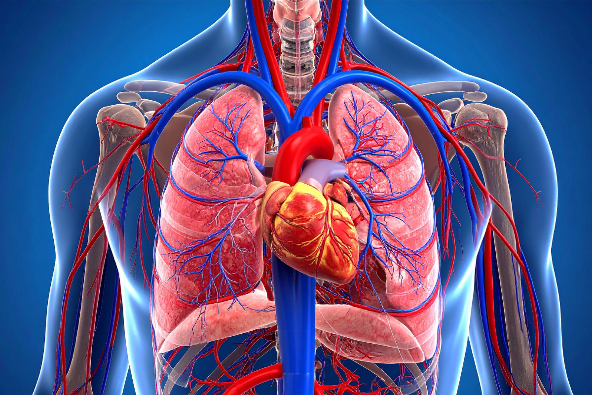 Tác dụng phụ của gây tê ngoài màng cứng sau sinh đối với mẹ bầu là gì? 1