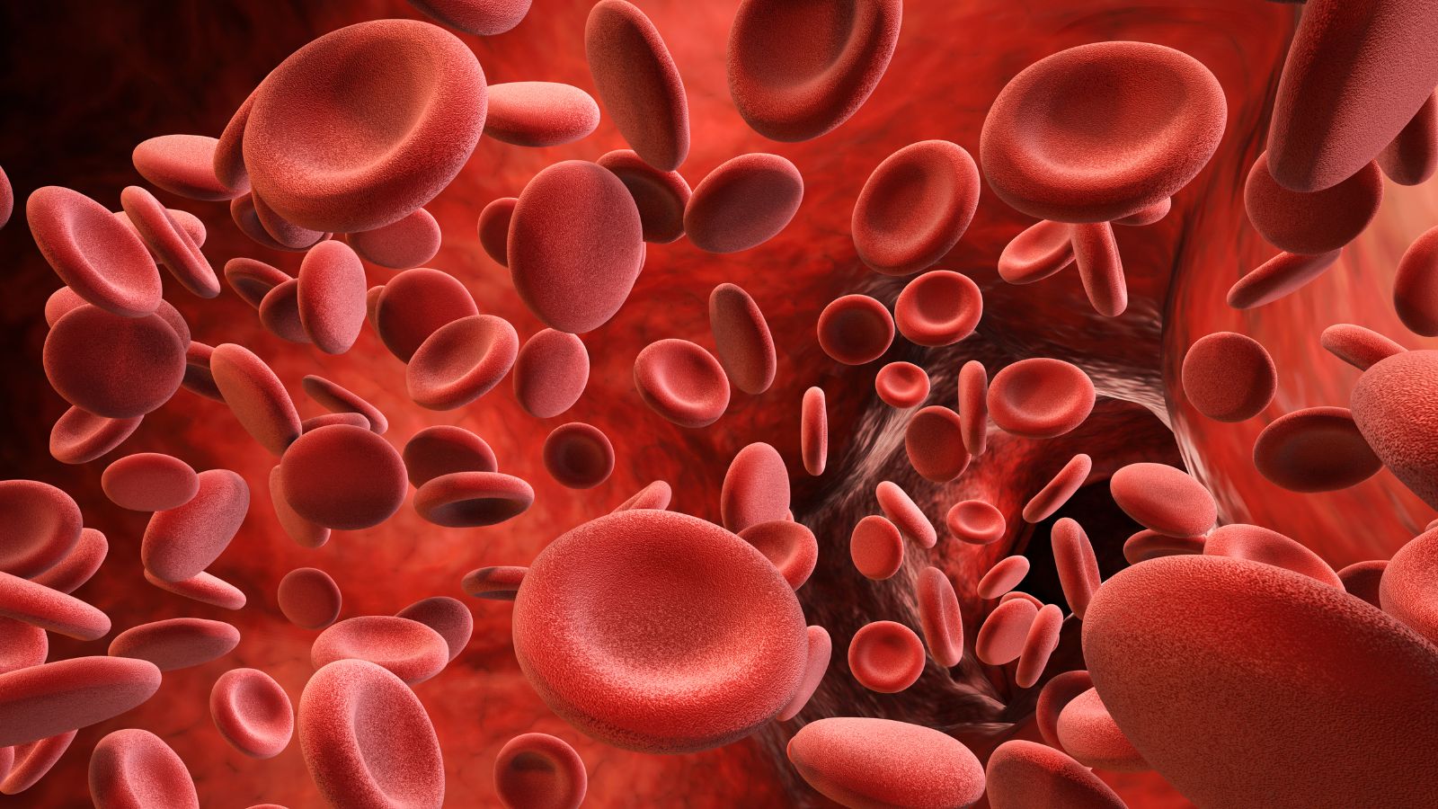 Nguy cơ cao hơn nếu bạn hoặc người thân ruột thịt từng bị huyết khối tĩnh mạch