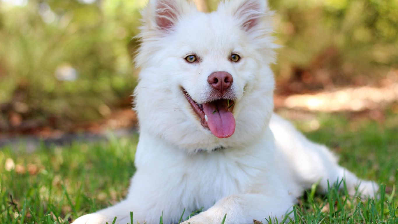 tai-sao-benh-nhan-mac-benh-dai-lai-tiet-nhieu-nuoc-bot 2