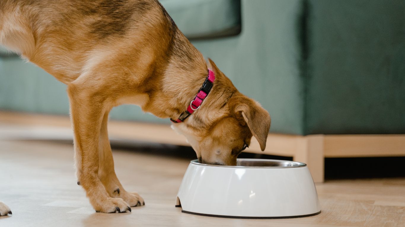 tai-sao-benh-nhan-mac-benh-dai-lai-tiet-nhieu-nuoc-bot 3