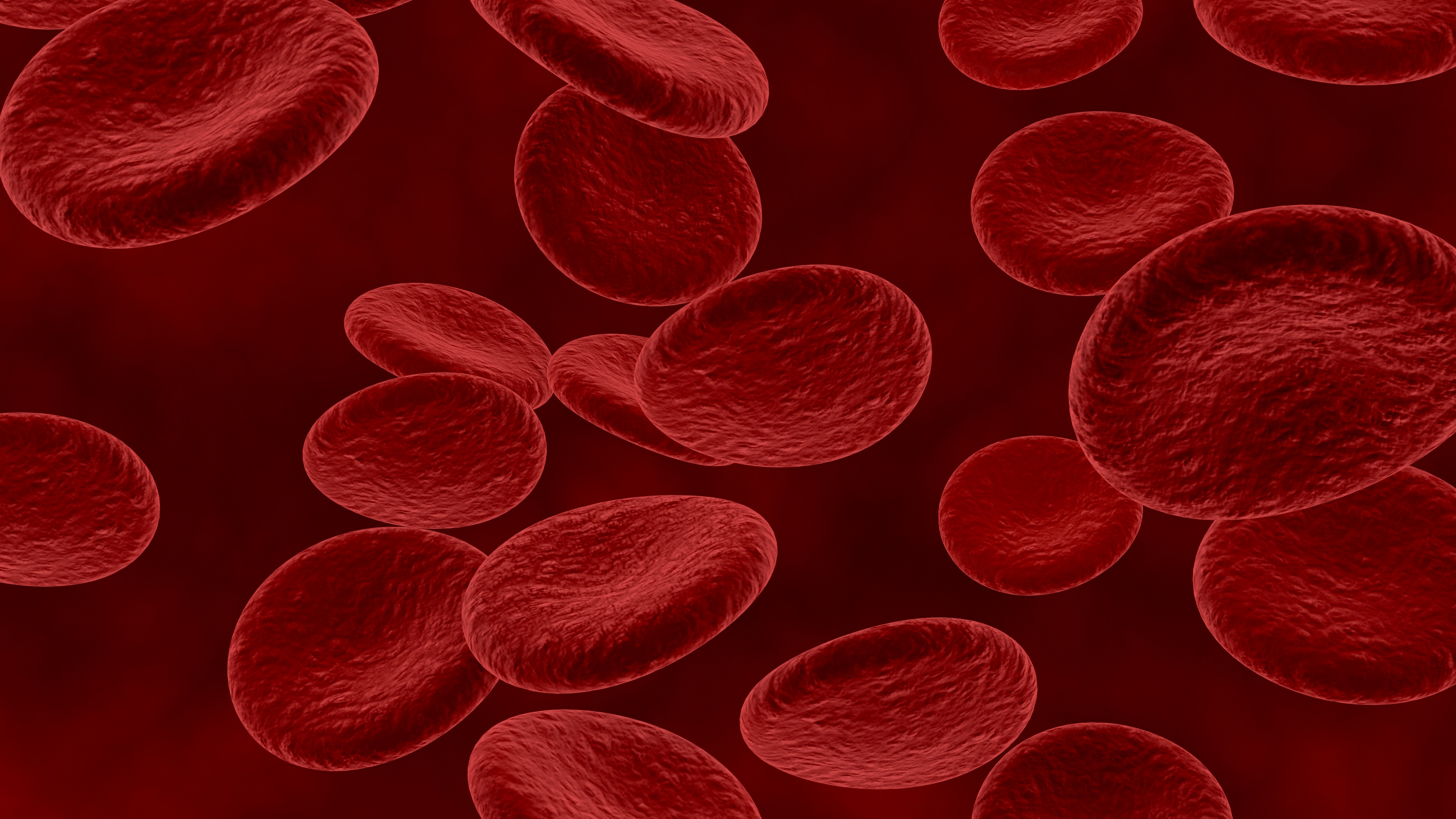 Tế bào máu được tìm thấy chủ yếu trong máu