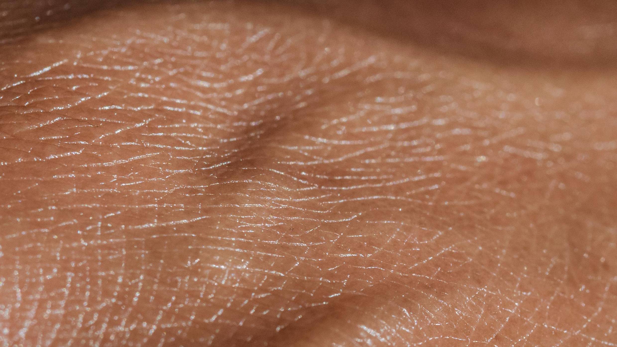 Tế bào da liên tục bong tróc và được tái tạo để duy trì hàng rào bảo vệ cơ thể