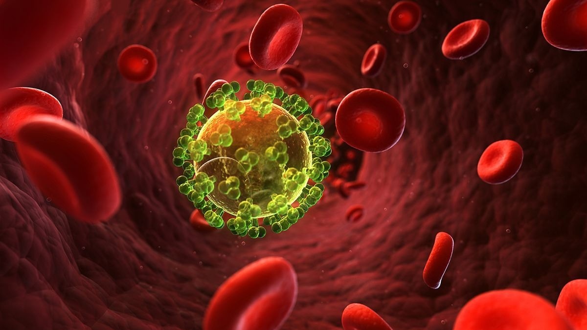 Tế bào T hỗ trợ có nguồn gốc từ tuỷ xương