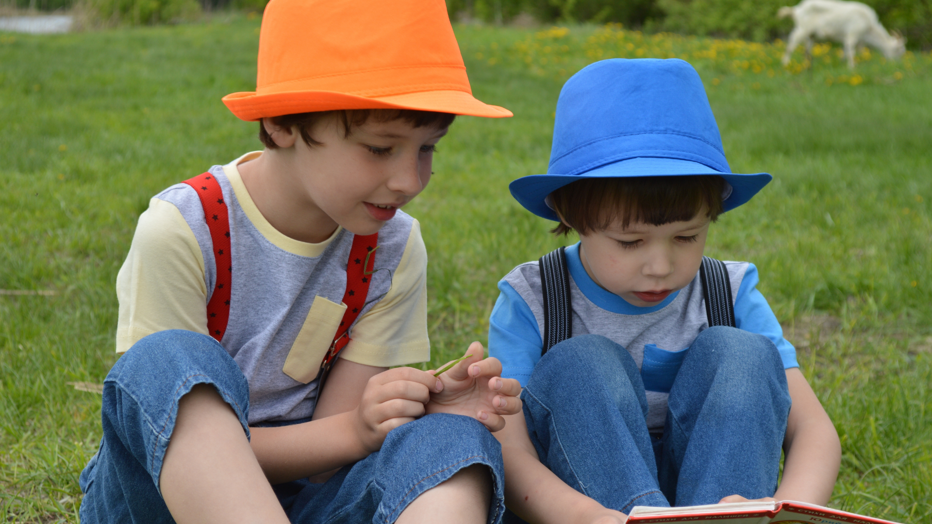 Nhiều nguyên nhân khác nhau có thể dẫn đến teo não trẻ em