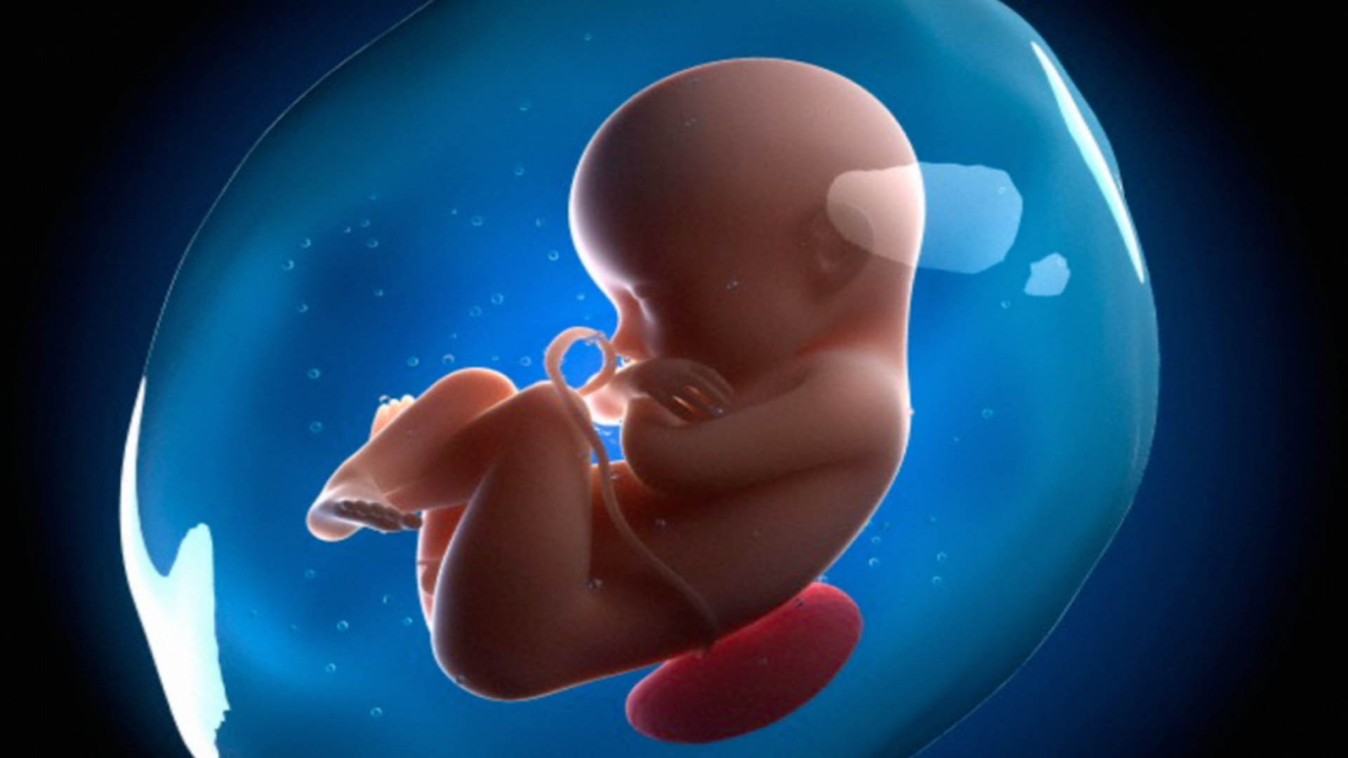 Thai 31 tuần chưa quay đầu vẫn hoàn toàn bình thường, mẹ bầu yên tâm theo dõi, chưa cần quá lo lắng