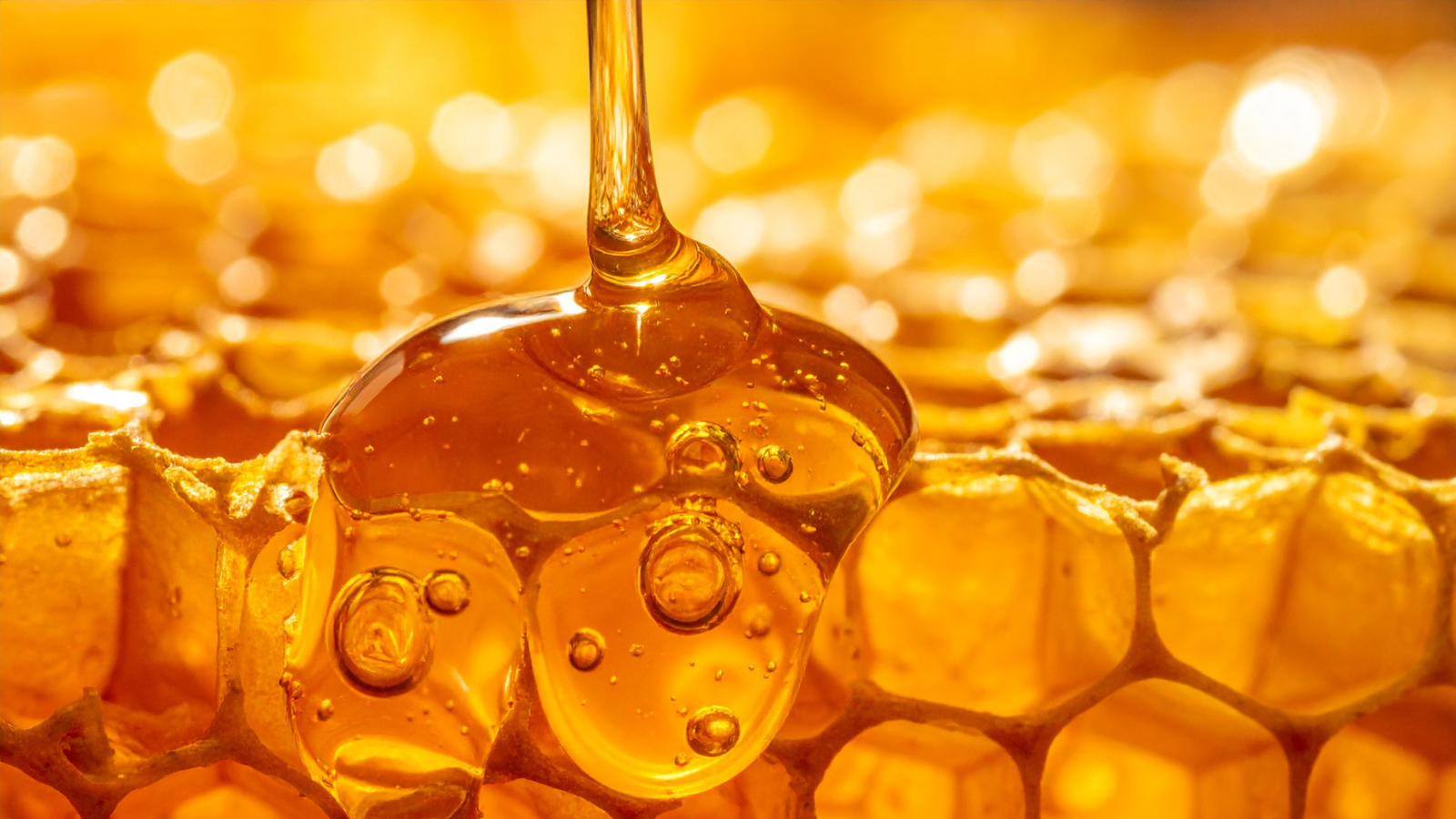 Thái sâm thành lát mỏng giúp mật ong thẩm thấu nhanh hơn