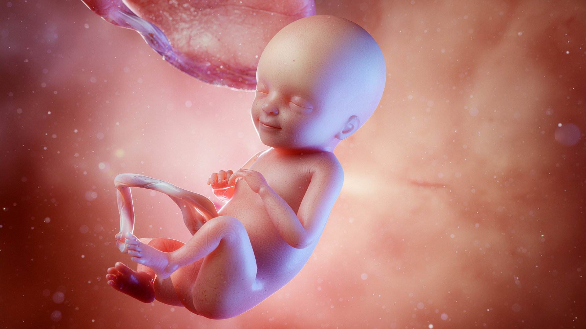 Thai trong thai là tình trạng một bào thai phát triển bất thường nằm trong cơ thể của một thai nhi khác