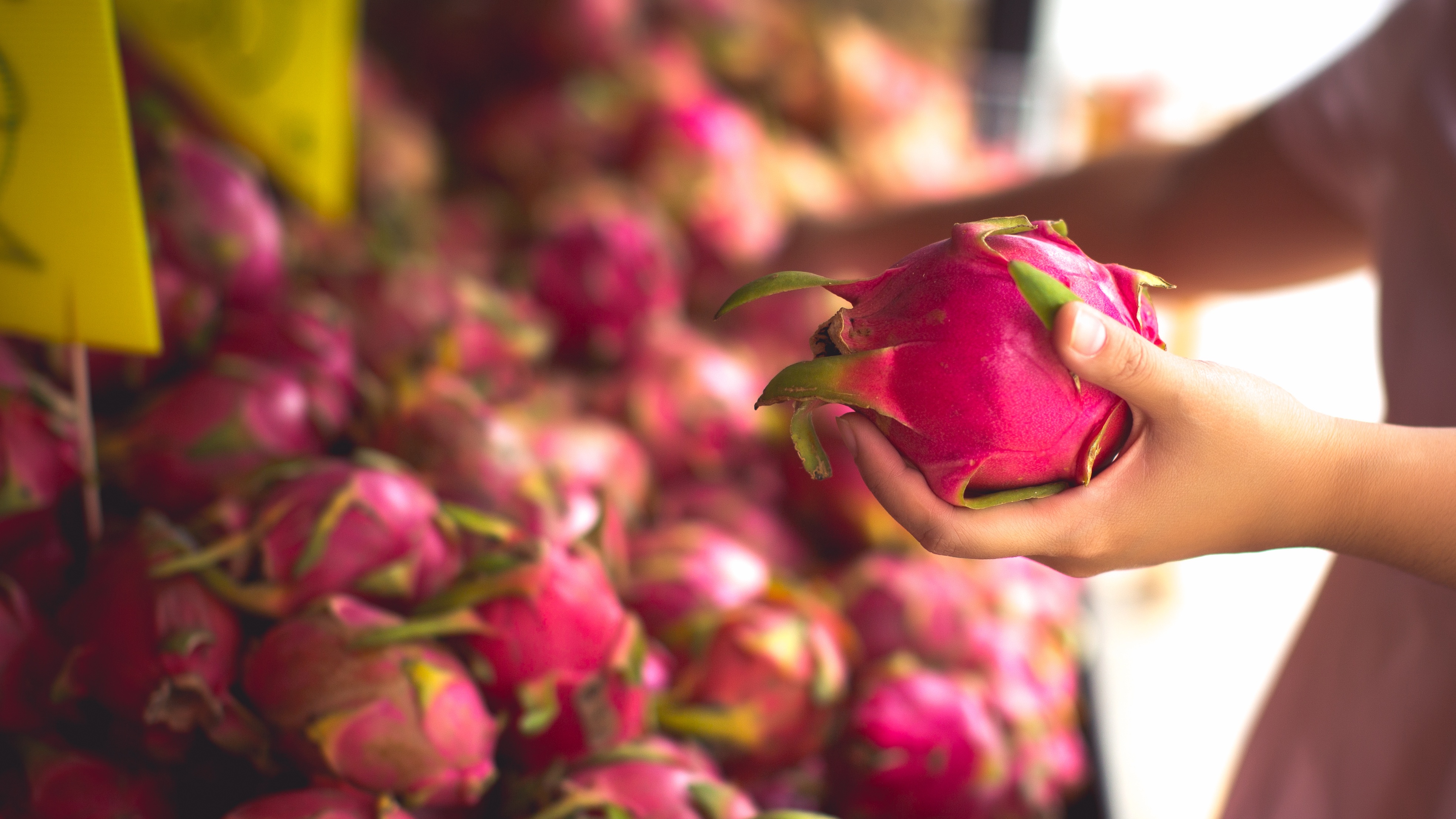 Nên ăn thanh long cắt miếng thay vì xay sinh tố