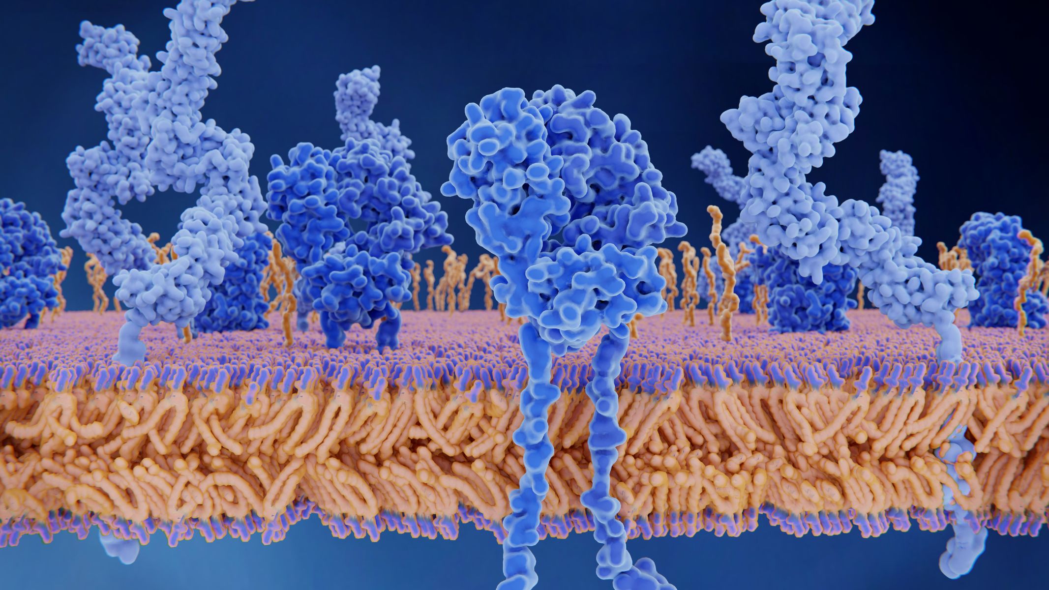 Thành phần của vắc xin cúm là kháng nguyên virus cúm
