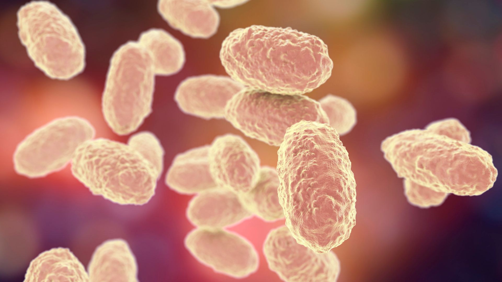 Thành phần vắc xin 6 trong 1 có chứa kháng nguyên phòng bệnh bạch hầu