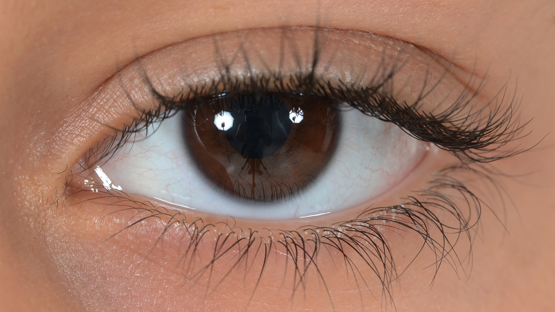 Thị giác là một trong năm giác quan của con người, cho phép chúng ta nhận biết và xử lý thông tin từ môi trường xung quanh thông qua ánh sáng