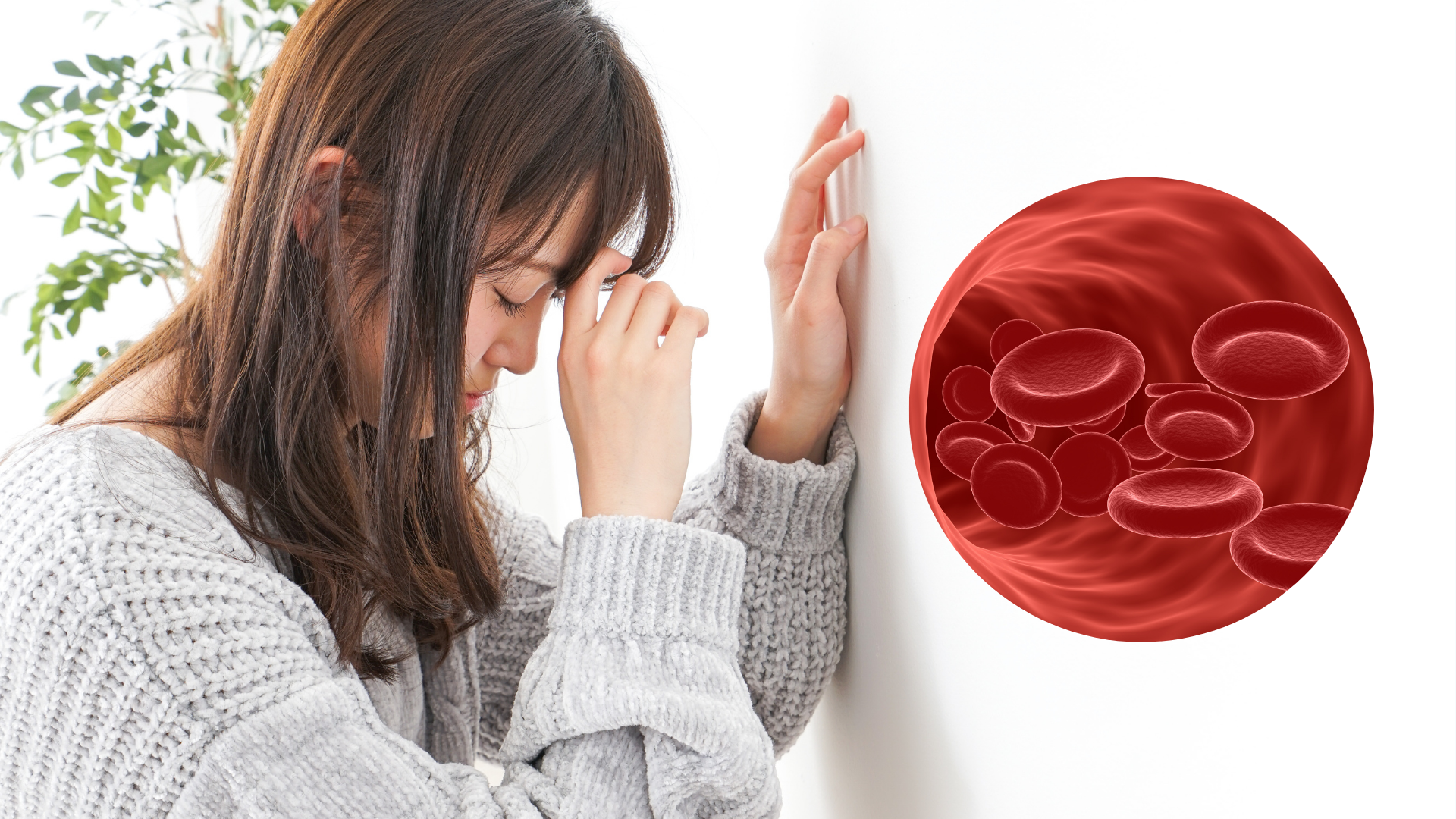 Thiếu máu thiếu sắt là loại thiếu máu phổ biến nhất hiện nay