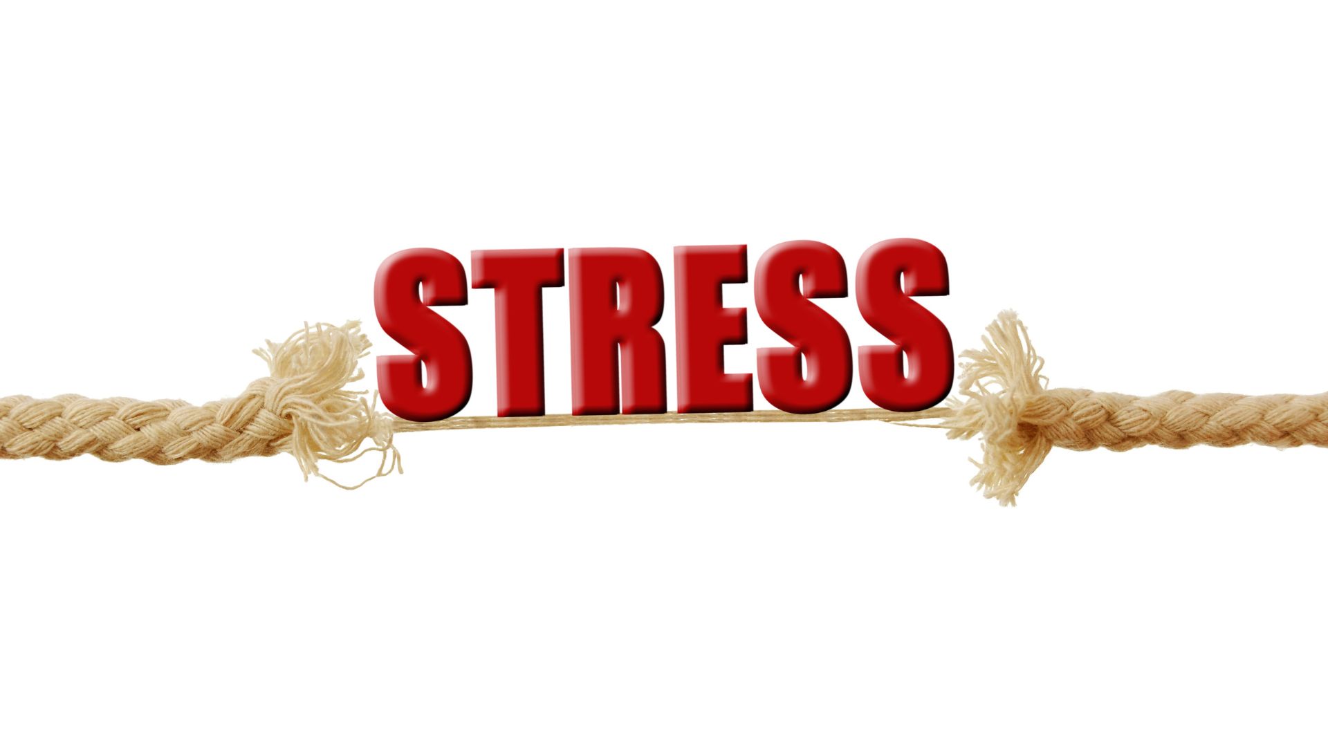 Stress kéo dài là một nguyên nhân gây thiếu vitamin C