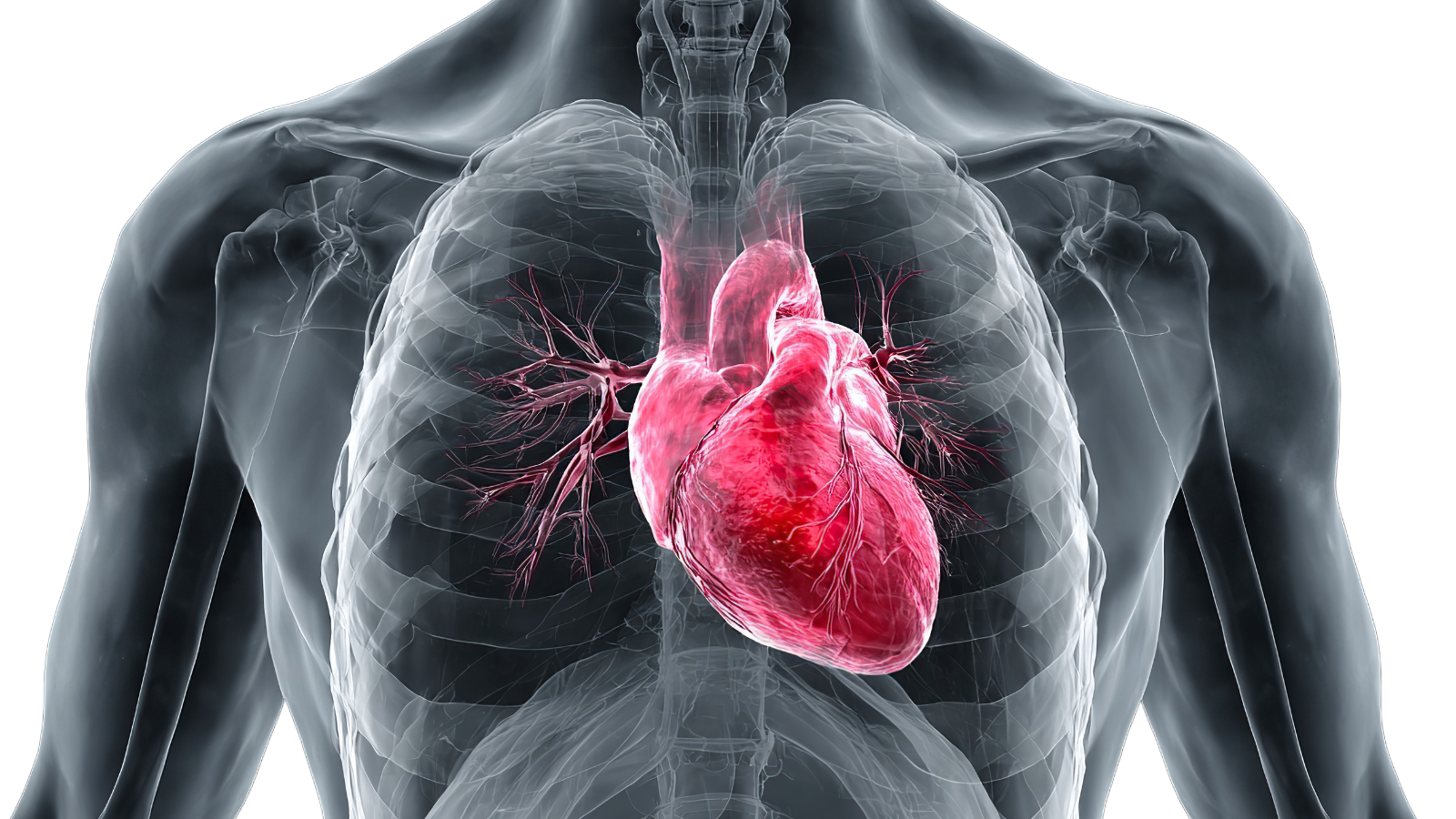 Khò khè do các nguyên nhân tim phổi