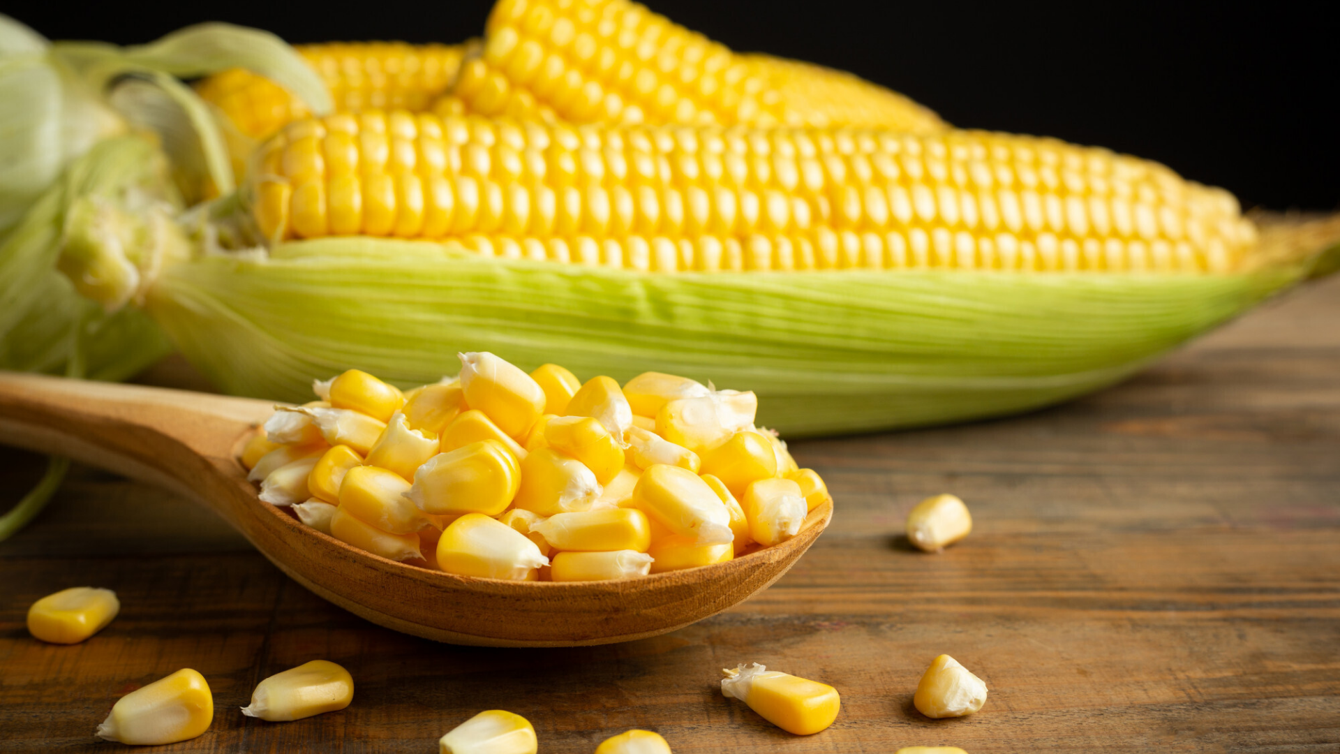 Ngô là thực phẩm giàu carbohydrate phổ biến, dễ tìm