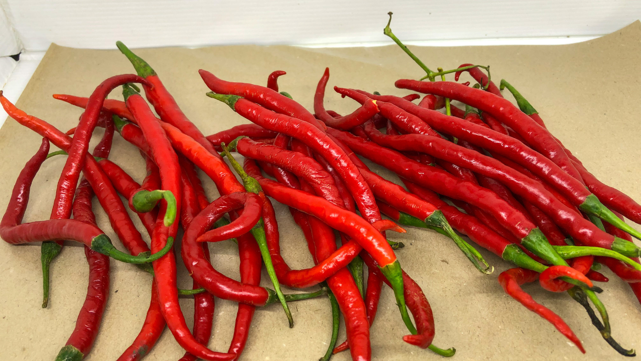 Hoạt chất capsaicin trong ớt giúp giảm nồng độ glucose trong máu