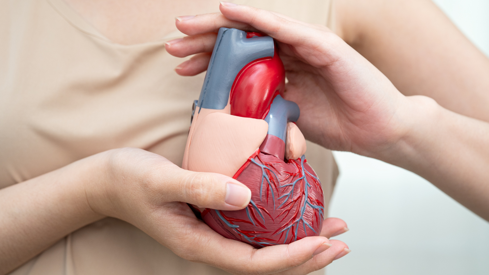 Cục máu làm tăng áp lực trong động mạch phổi, dễ bị suy tim phải