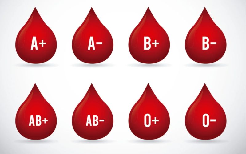 Cơ thể người có bốn nhóm máu chính và tổng cộng 8 loại máu khác nhau