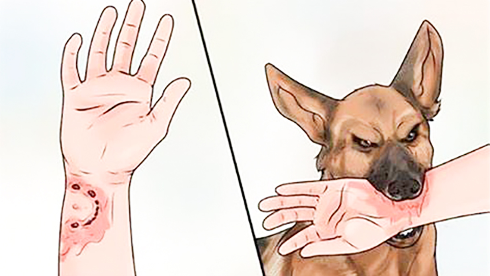 tiem-phong-3-mui-co-khang-dai-duoc-khong (1).png