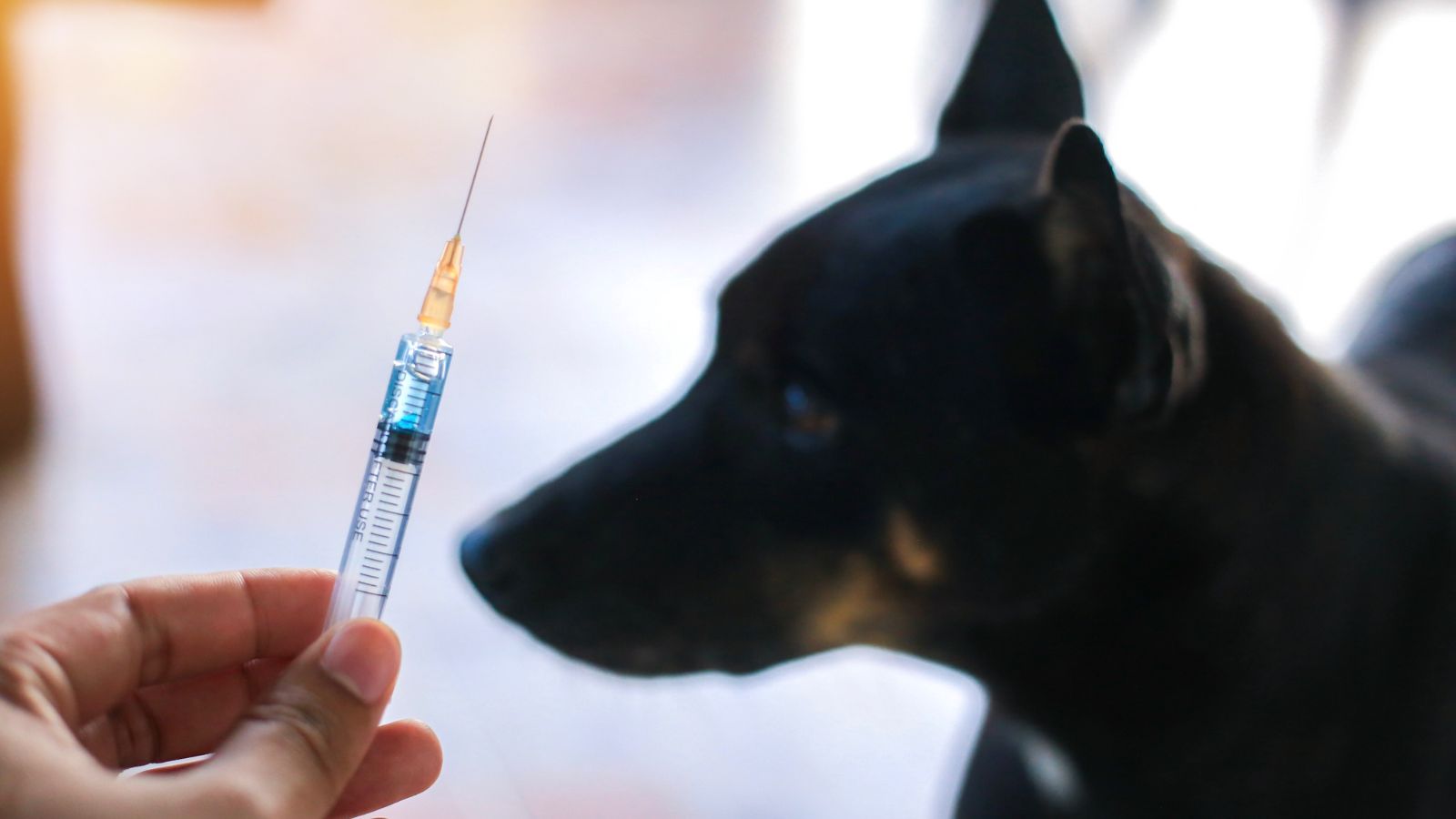 nhung-hau-qua-khon-luong-khi-tiem-phong-dai-khong-dung-lich-1