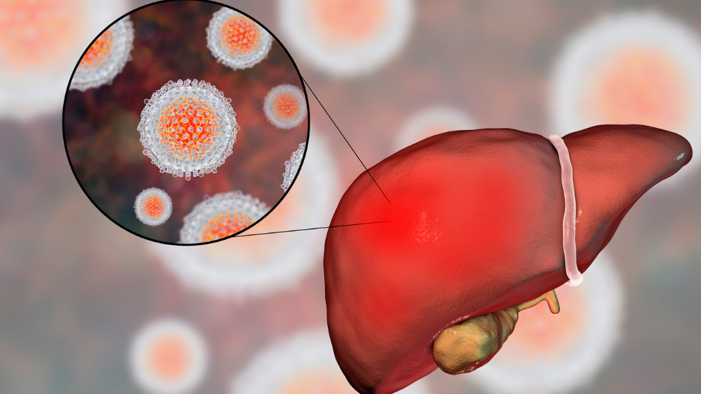 Vắc xin giúp cơ thể tạo kháng thể chống lại virus viêm gan A