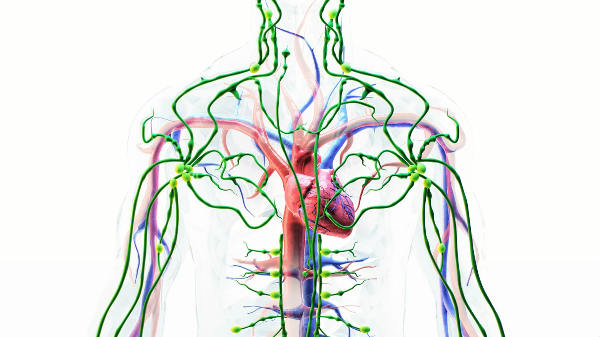 tiem-vac-xin-bi-noi-hach-co-nguy-hiem-khong 2.png