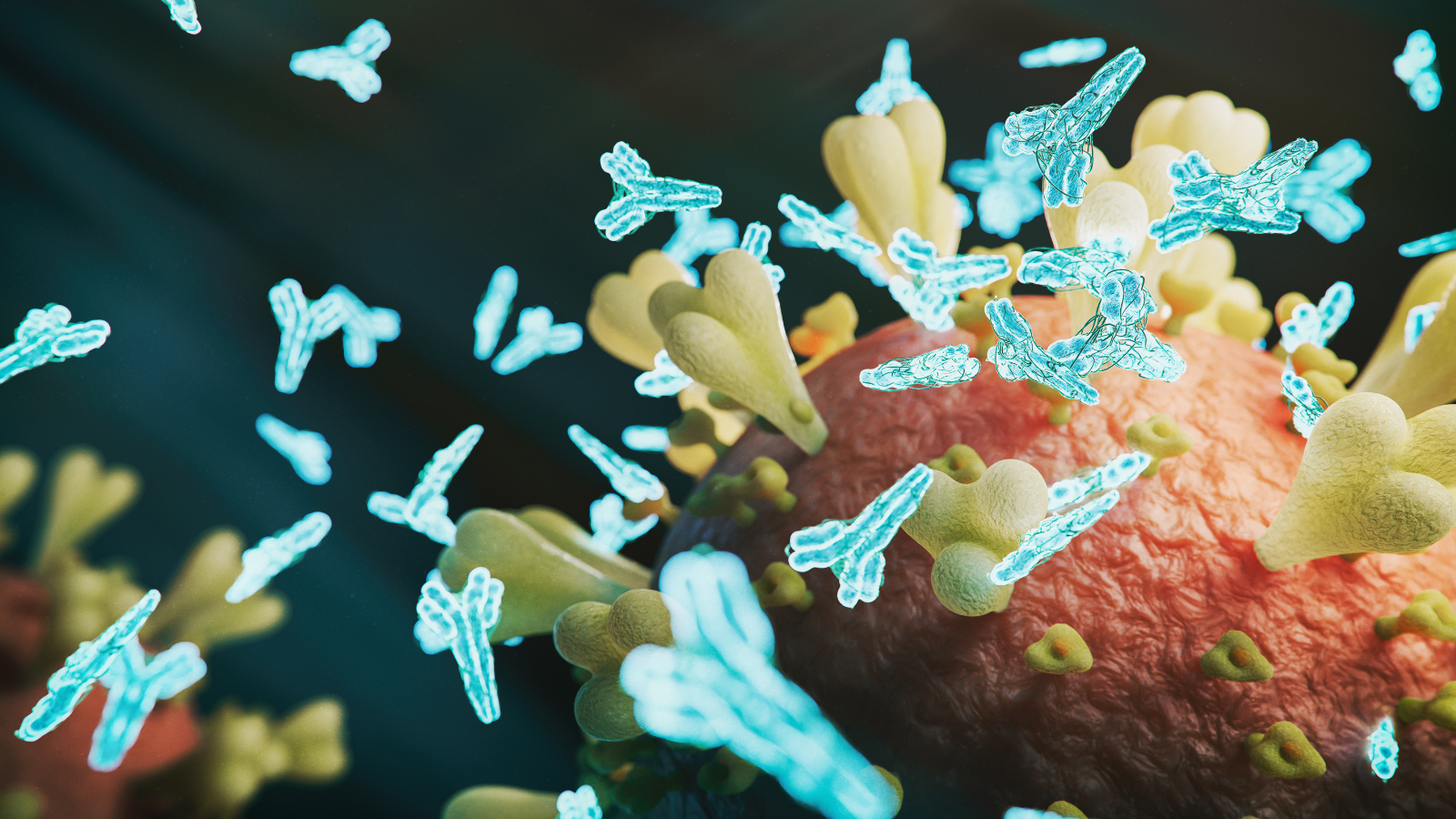 Thời điểm lý tưởng là từ tuần 32 đến 36 để tối đa hóa lượng kháng thể truyền sang cho thai nhi